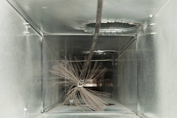Air Duct Mold Removal in Independence, LA