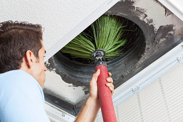 Best Air Duct Cleaning Near Me  in Independence, LA